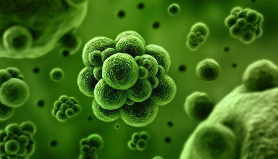 微生物基本知识：微生物的营养类型有哪些？