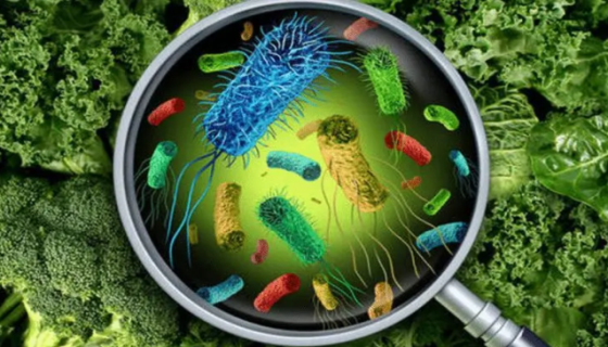食品加工过程中微生物控制的方法与方向有哪些？