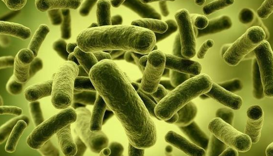 细菌对消毒剂产生耐受性的方式有哪些？