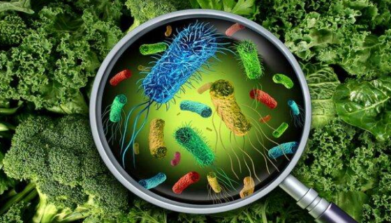 食品车间微生物的污染与检查及控制与管理！