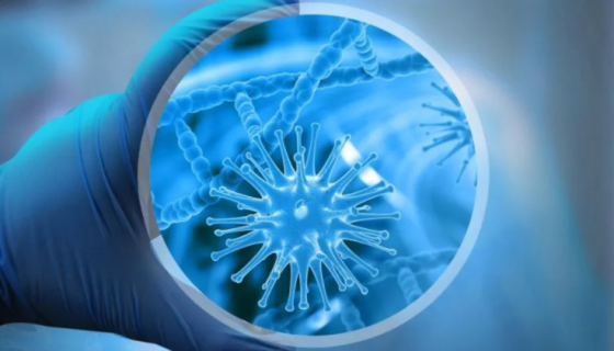 胶孢炭疽菌的特点与优势及微生物培养方法！