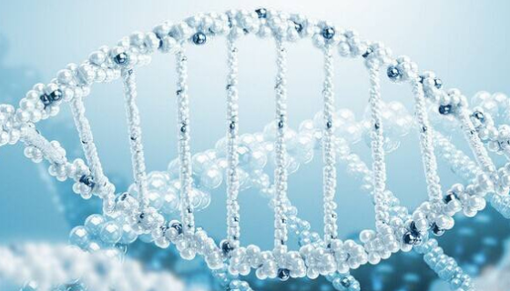 酵母基因组DNA提取试剂盒的纯度检测与操作方法！