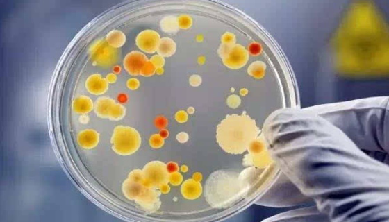 微生物检测方法和标准：出口食品中微生物学检验通则！