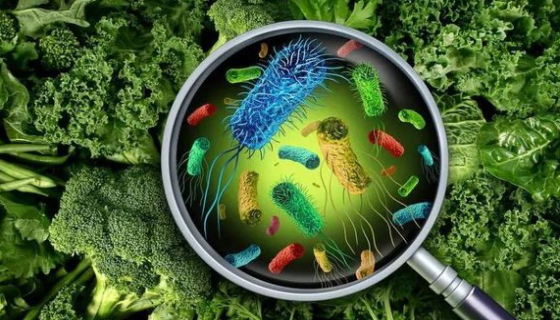 食物中真菌毒素的危害及检测与预防方法有哪些？