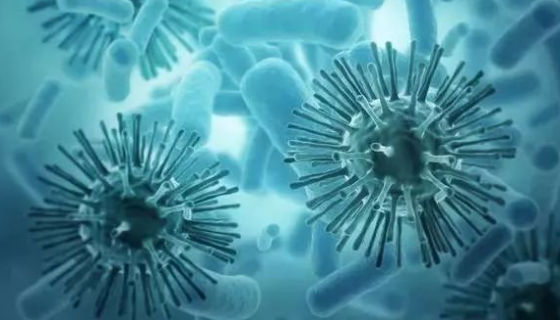 具有藥用價(jià)值的植物病原真菌的種類及化學(xué)成分和藥理作用！