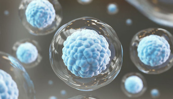 多項研究證實間充質(zhì)干細胞不具致瘤性，為患者帶來希望！