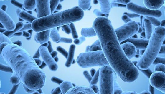 研究發(fā)現(xiàn)糞便移植有助于胃腸癌患者克服耐藥性！