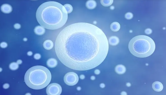 中老年人如何保持身體健康和免疫系統(tǒng)的正常功能？