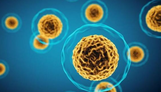 一種天然免疫機(jī)制：肺泡巨噬細(xì)胞可抑制腫瘤轉(zhuǎn)移！