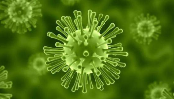 微生物：我們是土壤物質(zhì)循環(huán)的發(fā)動機！