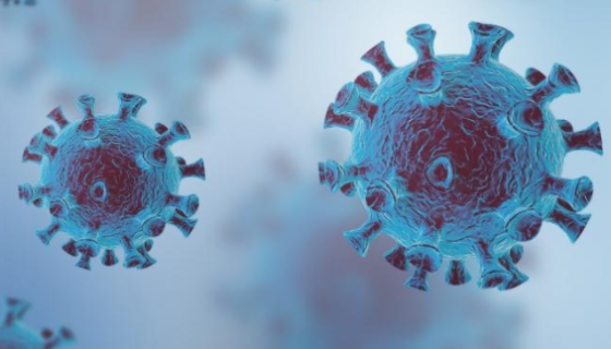 NK細(xì)胞回輸?shù)陌踩耘c可行性及其應(yīng)用前景！