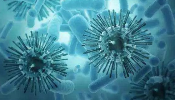 你知道我們的土壤為什么需要有機質(zhì)和微生物菌肥嗎？