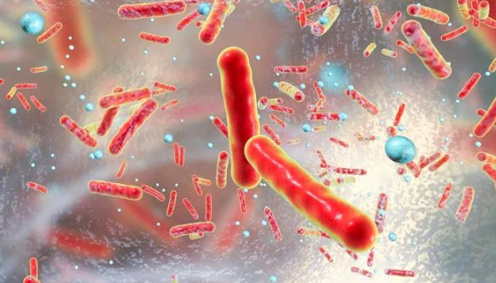 耐藥菌的出現(xiàn)原因及常見的多重耐藥菌與預防傳播！