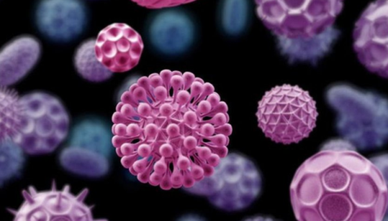 腫瘤微環(huán)境之CD4 T細(xì)胞：角色多變的心機(jī)細(xì)胞！