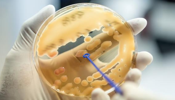 品牌拆解：生物發(fā)酵技術(shù)引領(lǐng)護(hù)膚新潮流？深度剖析！