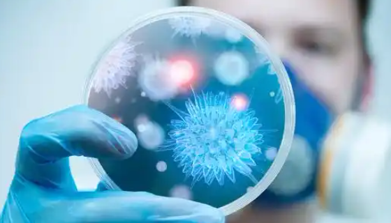 微生物倒平板操作要點(diǎn)與避坑指南：告別氣泡、開裂、污染！