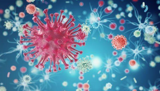 揭秘生命自愈的奥秘：干细胞，人体内神秘的维修工？