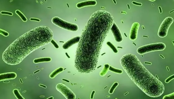 腸道菌群和腸道微生物群對(duì)人體健康的影響有哪些？