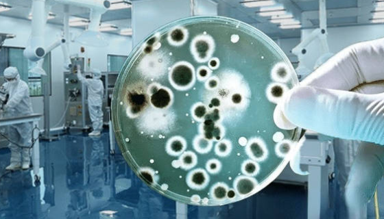 降低食品水分活度抑制霉菌生長(zhǎng)的操作方法與適用場(chǎng)景！