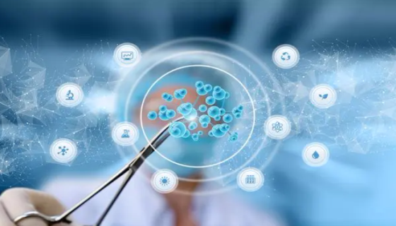 如何检测大鼠肾上腺皮质细胞的功能？怎么操作呢？