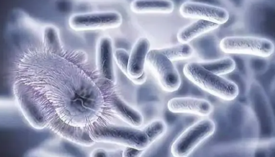 致瀉大腸埃希氏菌檢驗中使用三糖鐵瓊脂的注意事項！