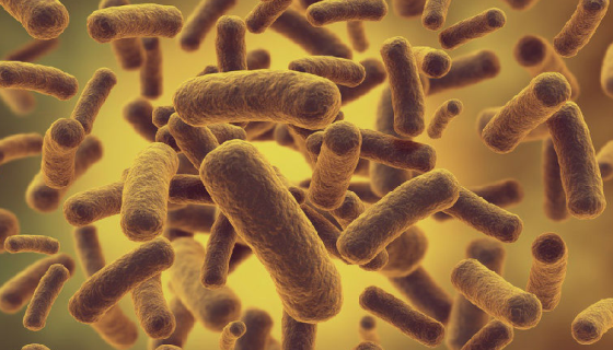 實驗中如何預防李斯特氏菌感染？具體該怎么操作呢？