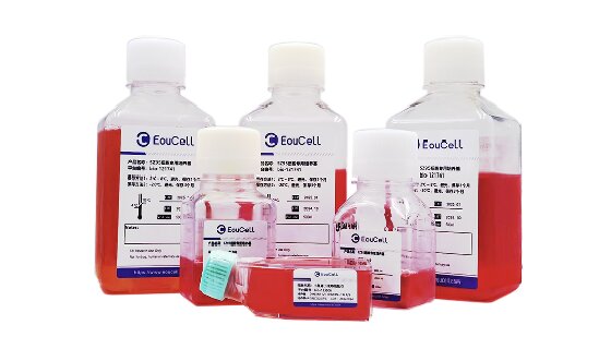 大鼠原代肺微血管內(nèi)皮細(xì)胞凍存與復(fù)蘇的方法及操作步驟！