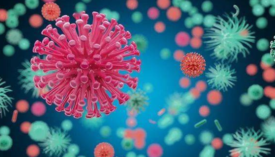 小鼠原代肠肌成纤维细胞的主要功能与常见应用及鉴定方法！