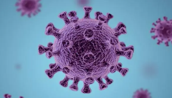 人永生化鼻咽上皮细胞的来源与永生化方法及应用领域！