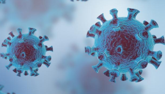 人神经母细胞瘤细胞的培养注意事项及操作要点有哪些？