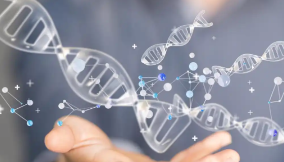 保证真空离心浓缩DNA样本质量和准确性的具体操作方案！