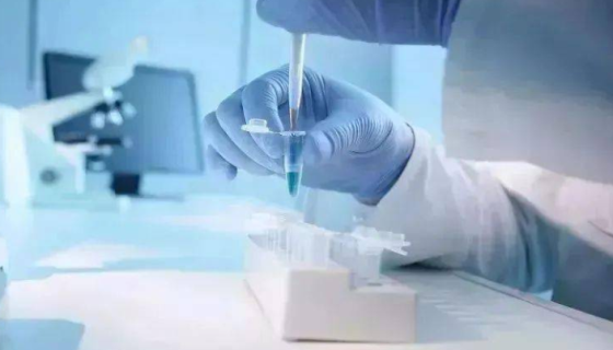 评估质控样品稳定性的核心方法与实验设计及判读标准！