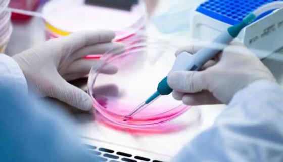 细菌溶血现象的检测方法与质量控制要点及应用价值！