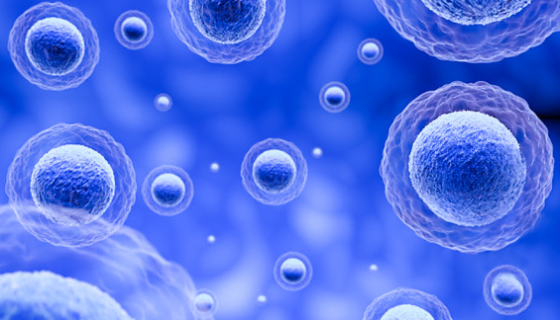 科学家眼中的明星细胞：间充质干细胞是再生医学新希望？