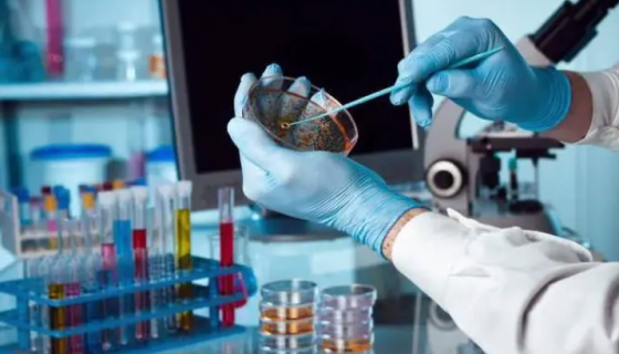 微生物培养基效期临界质量控制操作方法及常见问题与解决！