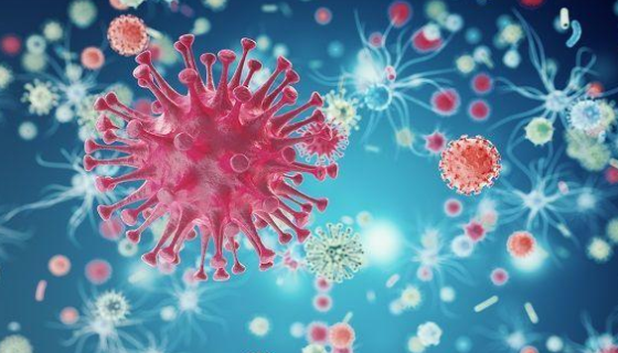 人原代乳腺成纤维细胞分离与培养的标准化操作流程！