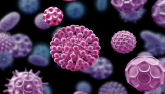 身体里的隐形卫士：免疫细胞如何守护健康与对抗疾病？