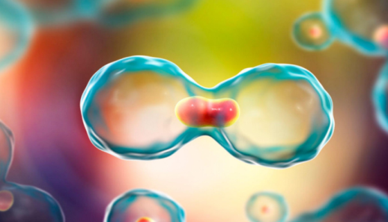 再生医学迎来新思路：科学家发现间充质干细胞存在个性差异！