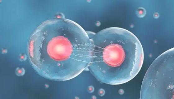 人视网膜色素上皮细胞的体外培养方法及具体操作规程！