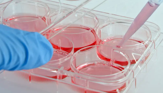 细胞包被工作液的准备工作与使用方法及注意事项！