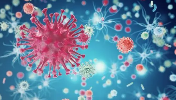 守护健康的隐形卫士：如何为免疫细胞注入新生力量？