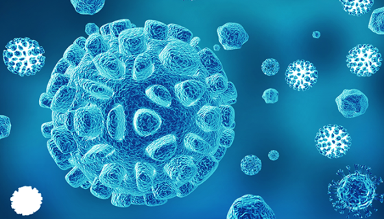 大鼠原代腹腔主动脉平滑肌细胞的分离培养与鉴定方法！