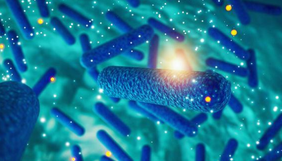 微生物菌种科罗拉多拟无枝酸菌的应用领域与发展前景如何？