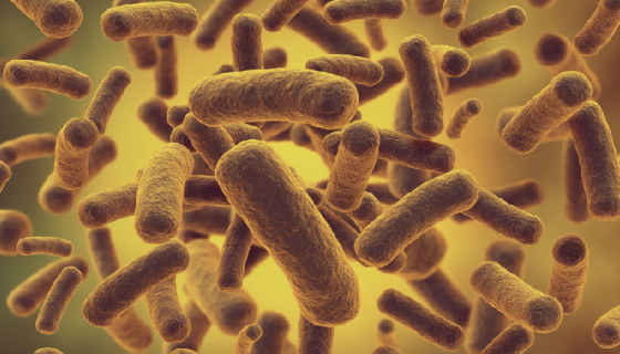 单核细胞增生李斯特菌在食品中的污染来源及关键节点有哪些？