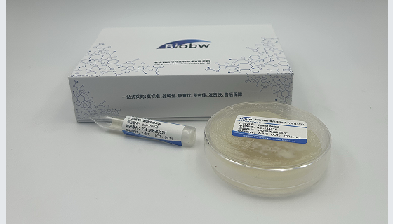 解淀粉周培瑾氏菌的培养与保藏要点及应用领域与前景！