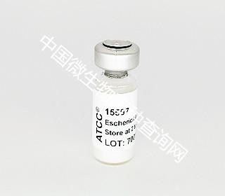 C-3000 大肠杆菌（现1）