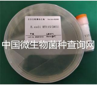 E.coli HT115DE3