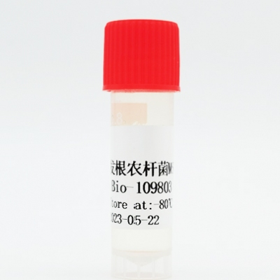 发根农杆菌 MSU440