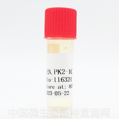 CEN.PK2-1C酵母