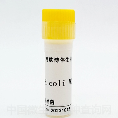 E.coli W3110DE3
